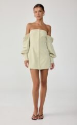 Raelynn Mini Dress (Sage) - Image 3