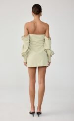Raelynn Mini Dress (Sage) - Image 4